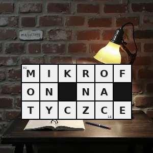 Hasło krzyżówkowe mikrofon na tyczce - mikrofon na tyczce – rozwiązanie, synonimy, podpowiedzi i definicje krzyżówkowe